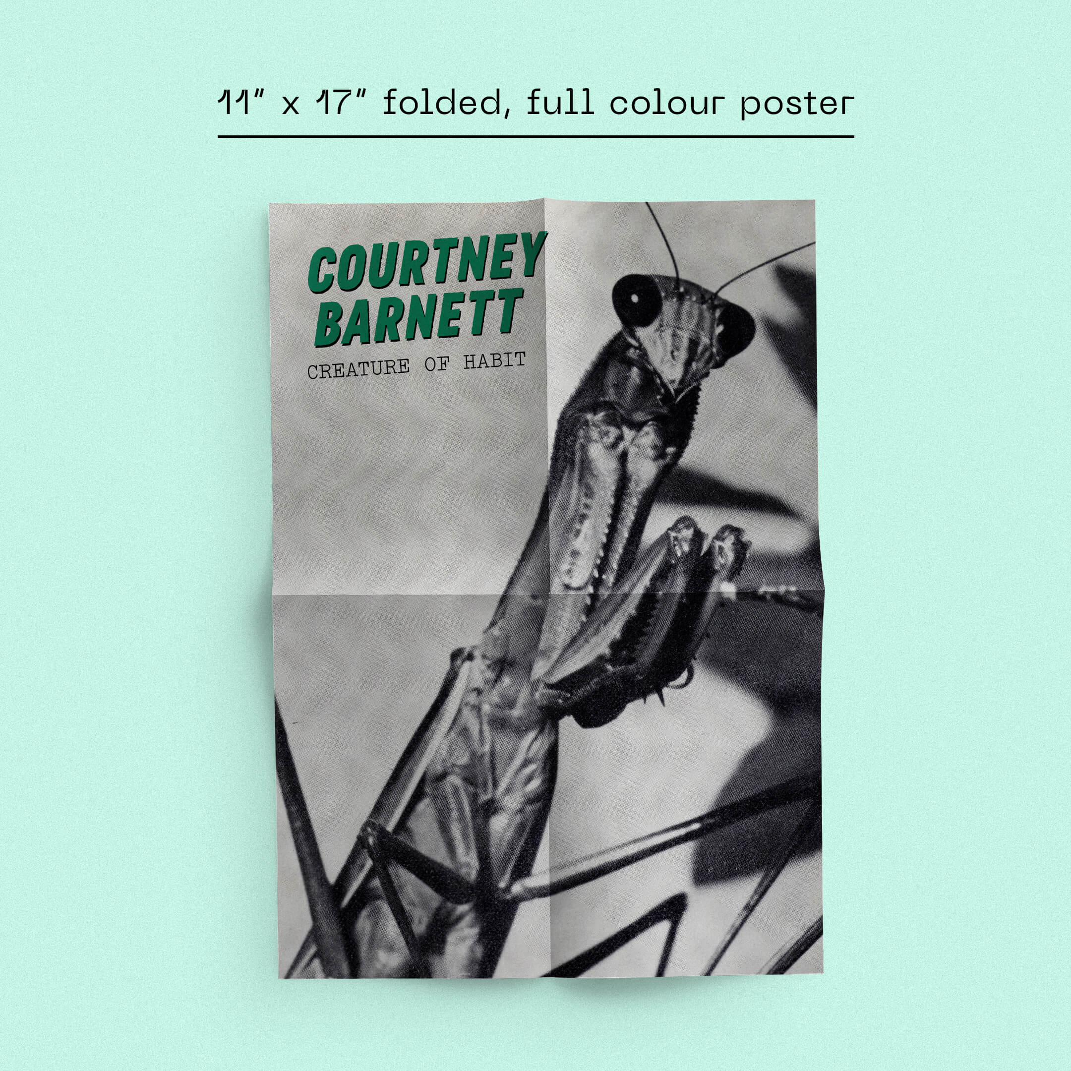 Courtney Barnett - Creature Of Habit - Image 5