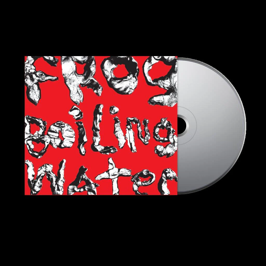 DIIV - Frog In Boiling Water - Image 4