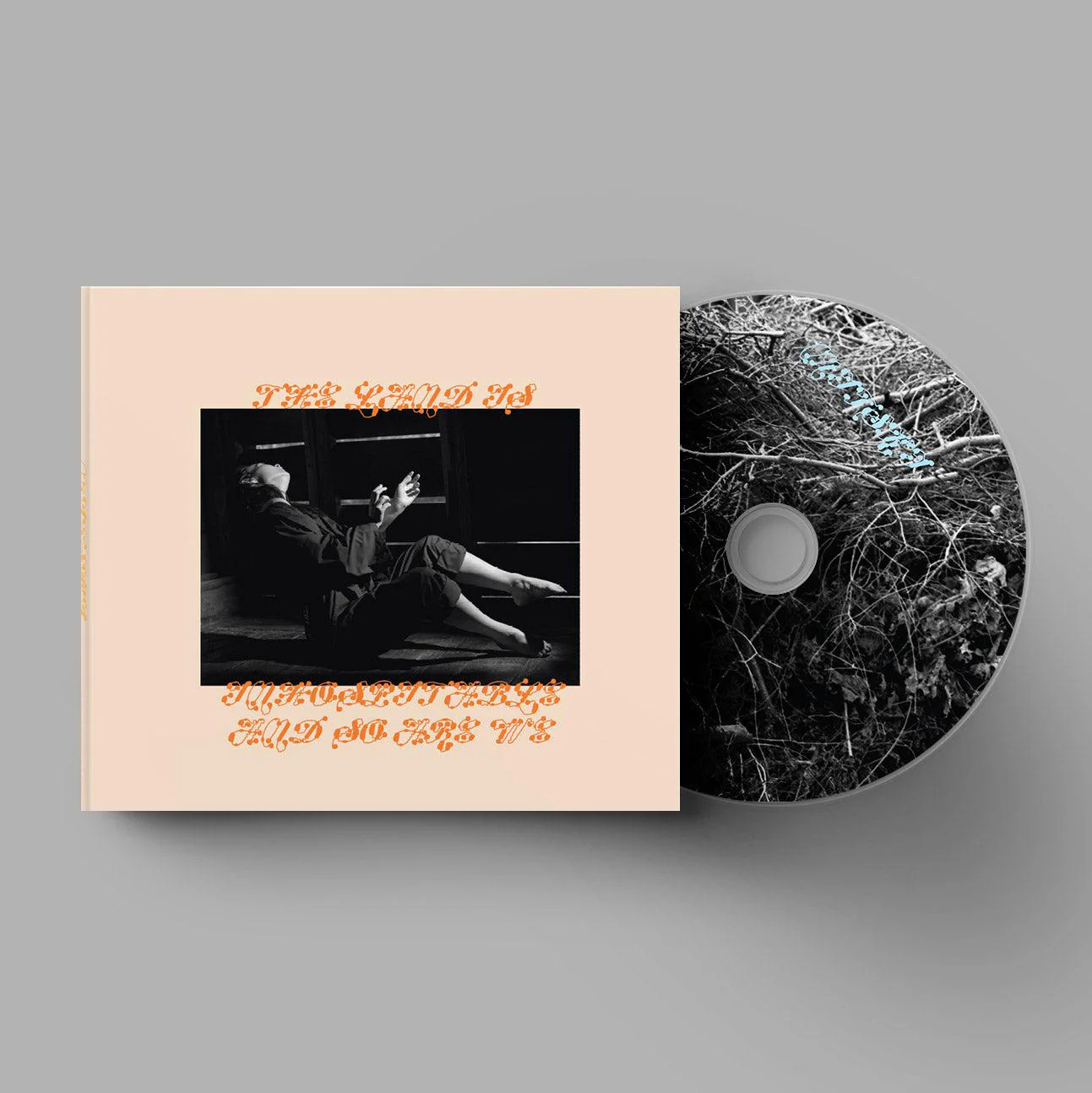 Mitski - The Land is Inhospitable and So Are We - Image 3